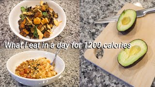 1200 calories a day!