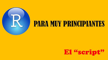 EL SCRIPT - R Project