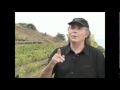 Joan manuel serrat y sus vinos