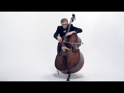 видео: Alexander Muravyev "Cheshire Cat" | CLIP (Double Bass Solo)