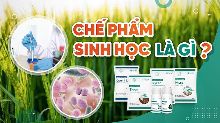 Thực phẩm sinh học là gì năm 2024