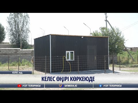 15 08 2025 КЕЛЕС ӨҢІРІ КӨРКЕЮДЕ 15 08 2025 КЕЛЕС ӨҢІРІ КӨРКЕЮДЕ