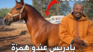 سوق الخميسات بادريس عندو همزة جدع سنان الحليب قطعو غير ب 12000Dh