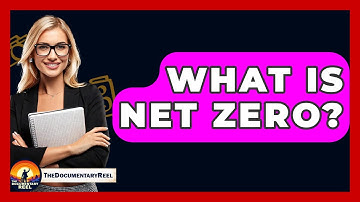 What Is Net Zero? - The Documentary Reel