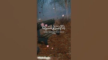 والعصر إنَّ الإنسان لفي خسر - سورة العصر -