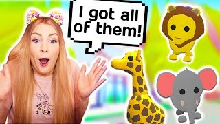 My Boyfriend Challenged Me To Get All New Safari Pets And I Won Roblox Adopt Me Youtube - keisyo roblox adopt me