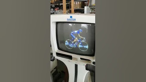 Gaelco Salter Cardioline Pro Reclimber