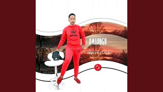 Niyongibuza kwabezimbongolo