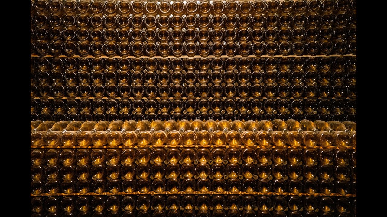 Autunno - Canelli - Le Cattedrali Sotterranee Bosca e Garcia