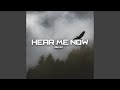 Hear me now remix