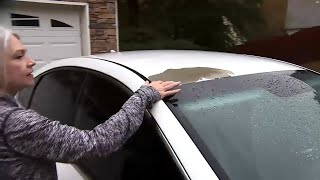 Hyundai extends warranty following Channel 2 Action News investigation into peeling paint screenshot 2