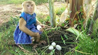 Download Lagu YaYar Surprise To Meet Eggs And Collect Theme For Cooking MP3