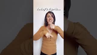 Celebrity COLOR | ASL Glossary | The ASL Shop Net Worth