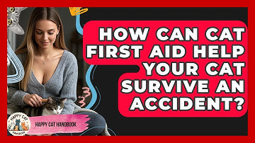 How Can Cat First Aid Help Your Cat Survive An Accident? - Happy Cat Handbook