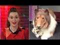 ‘So many questions’: Sky News host reacts to ‘terrifying’ collie costume