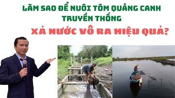 HỎI - ĐÁP NUÔI TÔM QUẢNG CANH: NUÔI TÔM XẢ NƯỚC VÔ RA TẠI SAO ÍT HIỆU QUẢ? (PHẦN 3)
