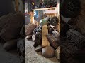 SCX24 Carbon Cayman - Indoor pull on the garage course