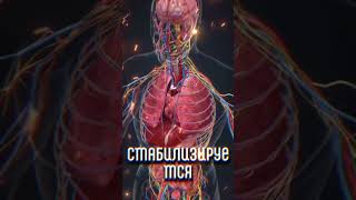 Чем почистить печень и снизить сахар?