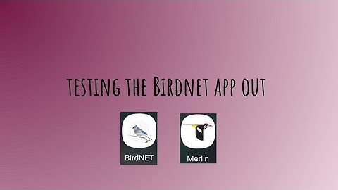 Testing the BirdNET app in my backyard and local park