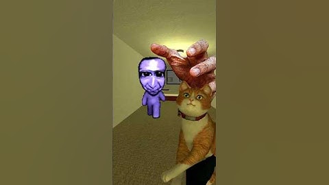Ao apni And Handfogod Chasing in Liminal Hotel Nextbots Gmod