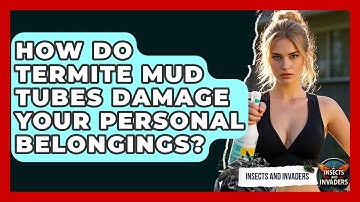 How Do Termite Mud Tubes Damage Your Personal Belongings? - Insects and Invaders