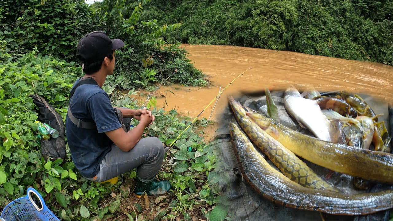 Con suối gần nhà luôn ưu ái ta - Mẻ cá suối tươi ngon ✅