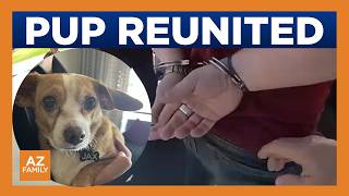 Stolen Chihuahua reunited with Scottsdale owner 1 year later