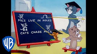 Tom y Jerry en Latino | Una Lección del Profesor Tom | WB Kids