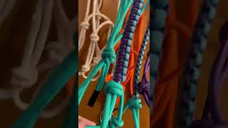 Famous Which Rope Is Best for Your Horse? | Rope Halter Materials Explained Profile