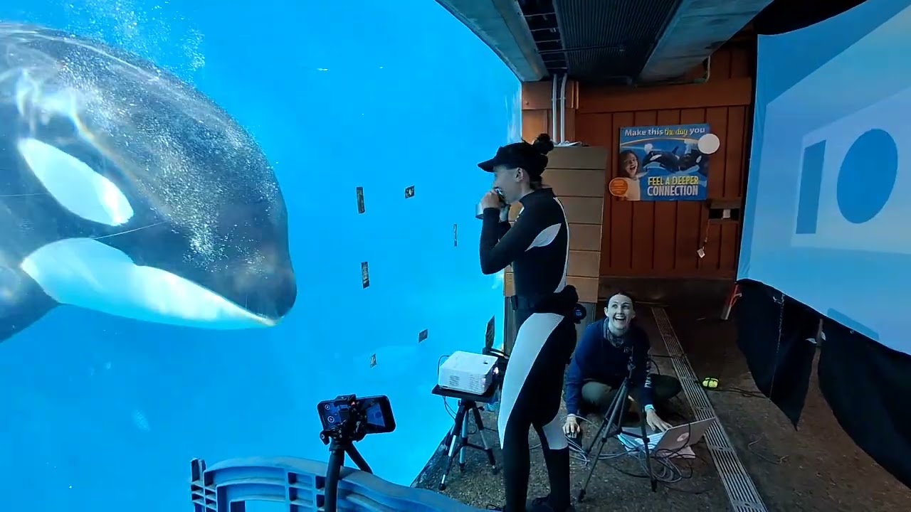 Makani in a training session for enrichment!! 1/17/26 