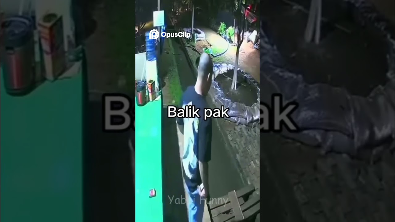 From Snakes to Sparring  Unexpected Moments Caught on Camera!