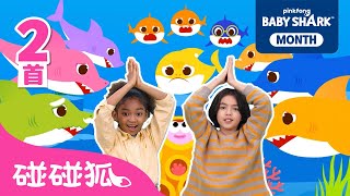 sha yu bao bao da jia zu yi qi tiao sha yu yi jia sha yu