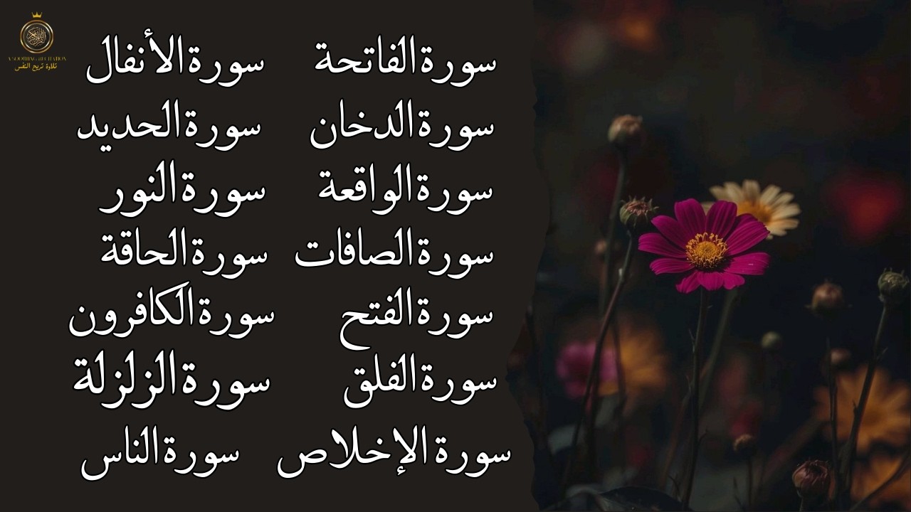 أقوى تلاوة مباركة… سور تفتح لك أبواب الرزق والراحة والطمأنينة