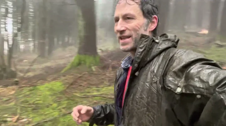 assisted migration of forests, especially 'non-native'