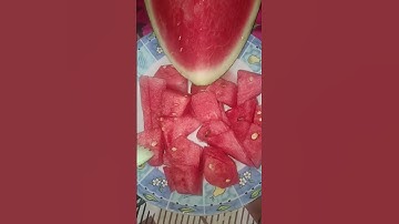 Thumbnail of sger banget buah semangka 🍉 #coversong #food #song #fruit #masukberanda