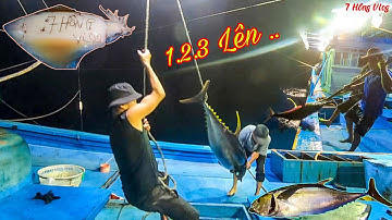 CÂU CÁ Biển Trường Sa 2 _Phát Hiện Loài MỰC Khổng Lồ Viết TÊN Còn Lưu Mãi