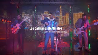 Los Caimanes De Sinaloa \\