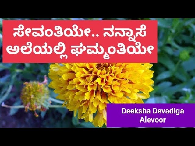 Sevantiye Sevantiye Nannase Aleyalli Gum Antiye| Kannada Song| Saxophone By Deeksha Devadiga Alevoor