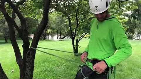 Lanyard management device