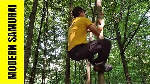 How to Climb  a Tree without Branches - Modern Samurai Skills