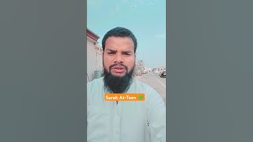 Surah At-Teen (سورة التين) Everyday Quran Tilawat #everydayqurantilawat #surahattin