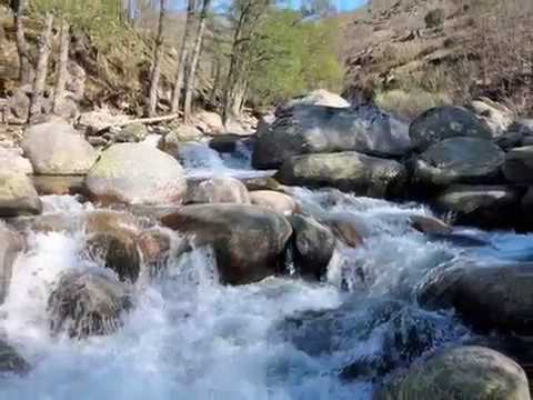 Spring in Jerte Valley / Spanish sakura valley