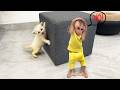 The reaction of baby monkey when first meets newborn kitten