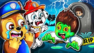 Paw Patrol Ultimate Rescue | RYDER Turn Into Zombie?! What happened - Very Sad Story| Rainbow 3