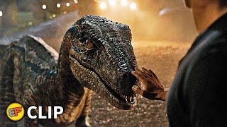Goodbye To Blue - Ending Scene Jurassic World Fallen Kingdom 2018 Movie Clip Hd 4K