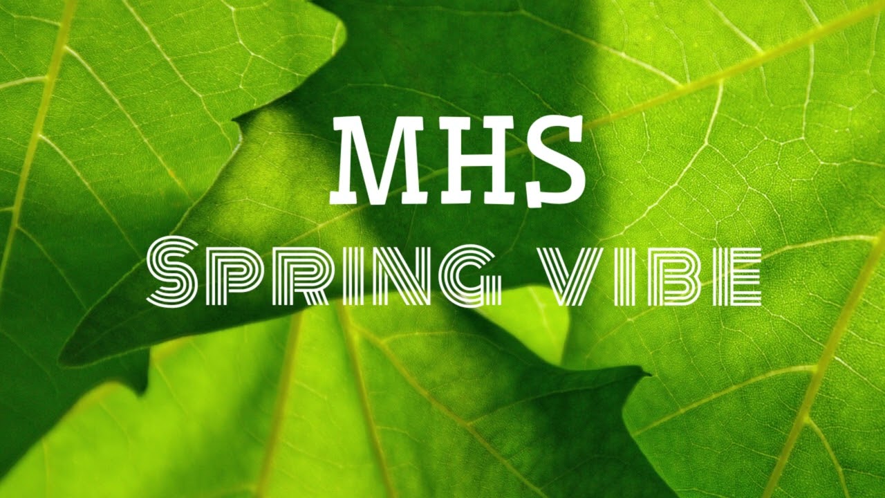 MHS - Spring vibe  (Official Audio)