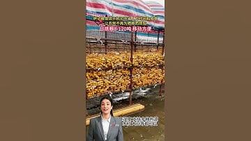 #fcnfm From Seedling to Shelf: Simplifying Agricultural Processes with Cutting-Edge Mobile Dryers