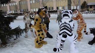 Kitty Snowball Fight at NordicFuzzcon '18.