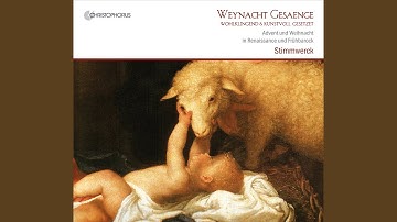 Dies est laetitia Ein Kindelein so lobelich