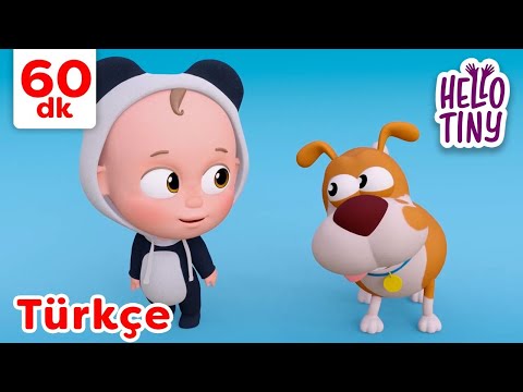 Kediciğim Gelsene Ellerini Versene | Bebekler için şarkılar | Hello Tiny Türkçe